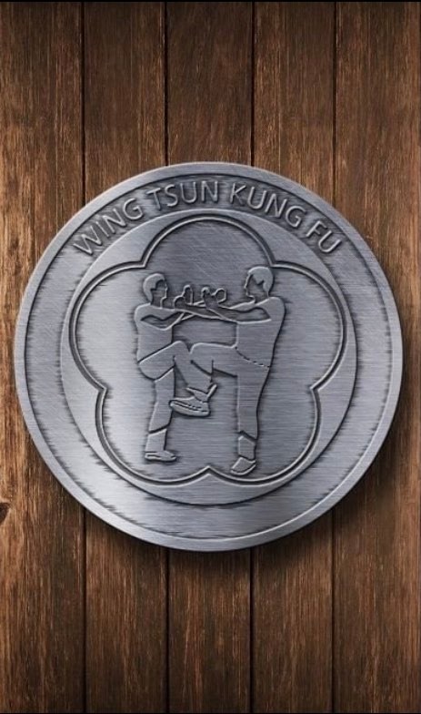 WTKFI Metallaufkleber - Rund - Rückenlogo